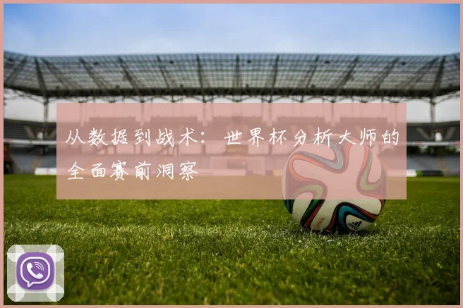 从数据到战术：世界杯分析大师的全面赛前洞察