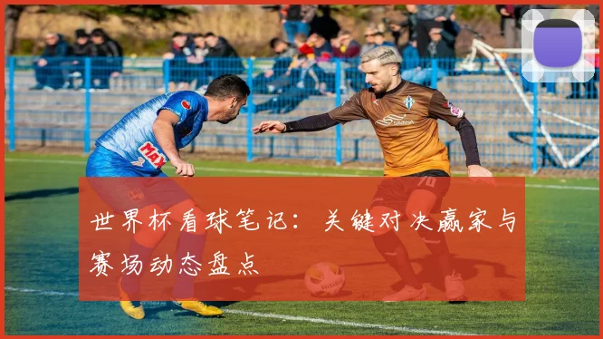 世界杯看球笔记：关键对决赢家与赛场动态盘点