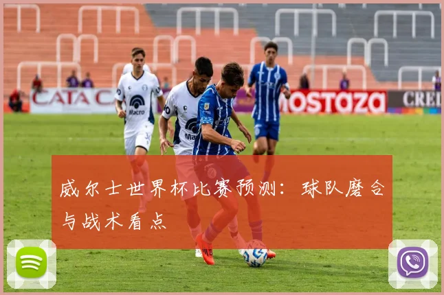 威尔士世界杯比赛预测：球队磨合与战术看点