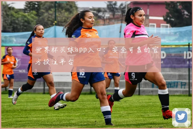 世界杯买球app入口：安全可靠的官方投注平台
