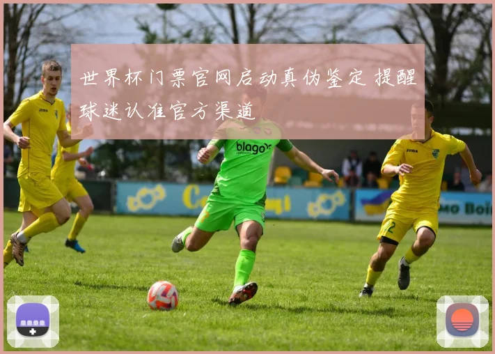 世界杯门票官网启动真伪鉴定 提醒球迷认准官方渠道