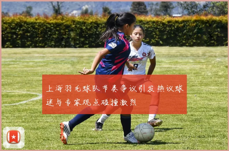 上海羽毛球队节奏争议引发热议球迷与专家观点碰撞激烈