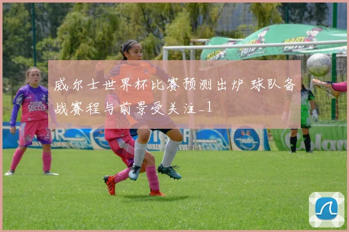威尔士世界杯比赛预测出炉 球队备战赛程与前景受关注_1