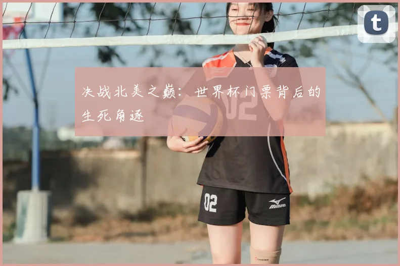 决战北美之巅：世界杯门票背后的生死角逐