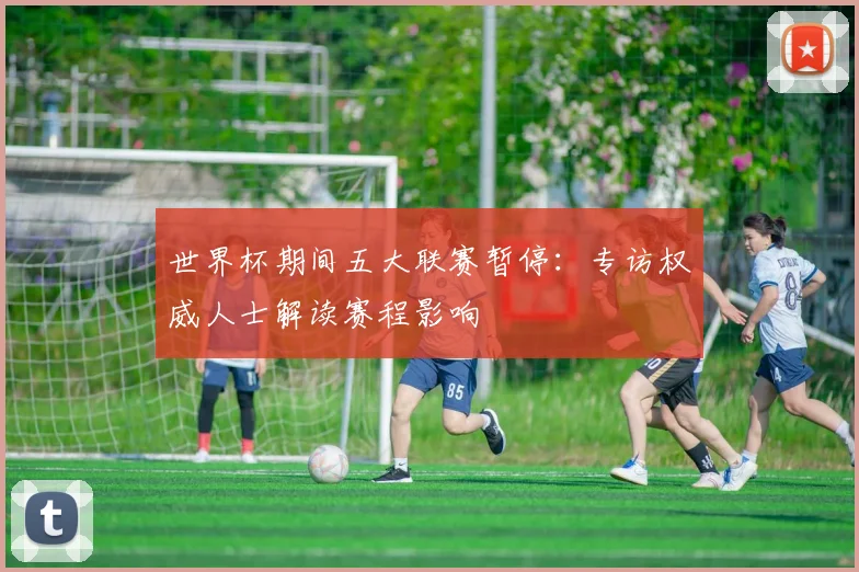 世界杯期间五大联赛暂停：专访权威人士解读赛程影响