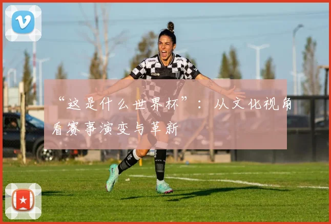 “这是什么世界杯”：从文化视角看赛事演变与革新