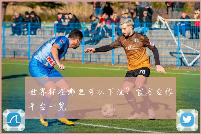 世界杯在哪里可以下注？官方合作平台一览