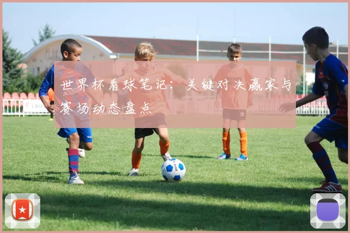 世界杯看球笔记：关键对决赢家与赛场动态盘点