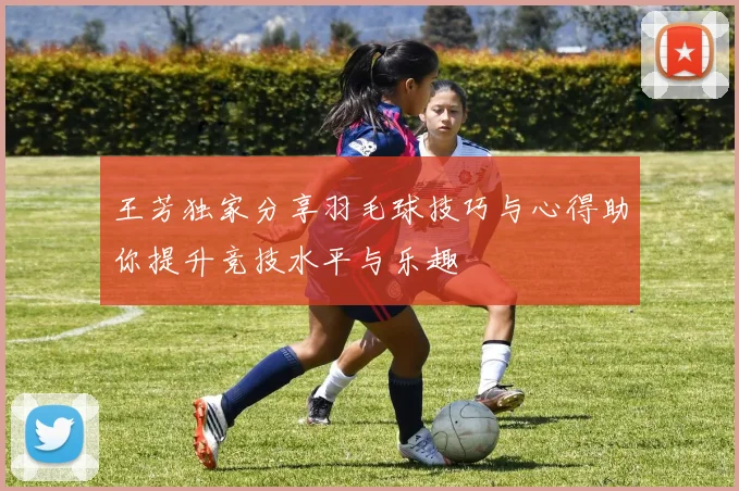 王芳独家分享羽毛球技巧与心得助你提升竞技水平与乐趣