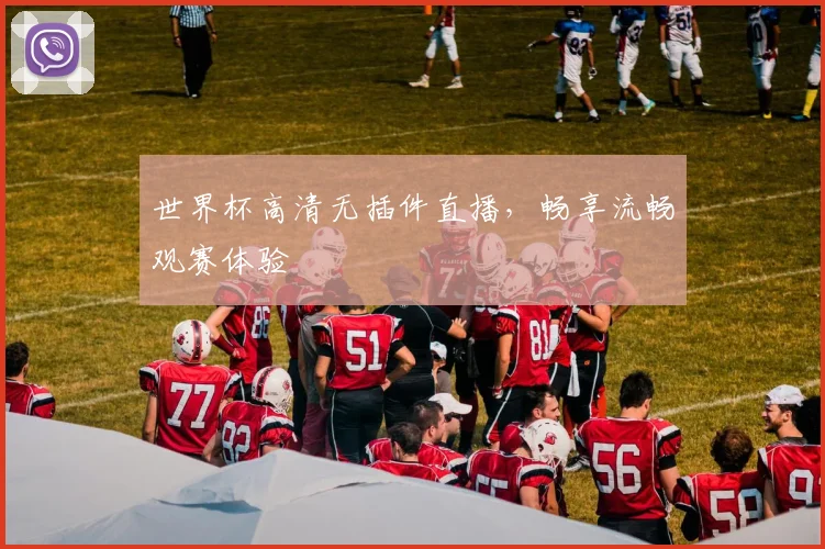 世界杯高清无插件直播，畅享流畅观赛体验
