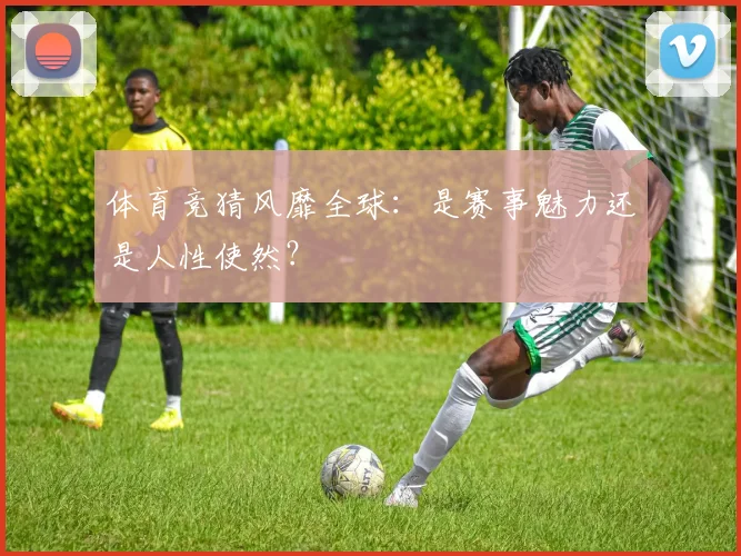 体育竞猜风靡全球：是赛事魅力还是人性使然？
