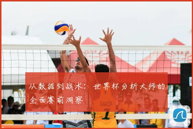 从数据到战术：世界杯分析大师的全面赛前洞察